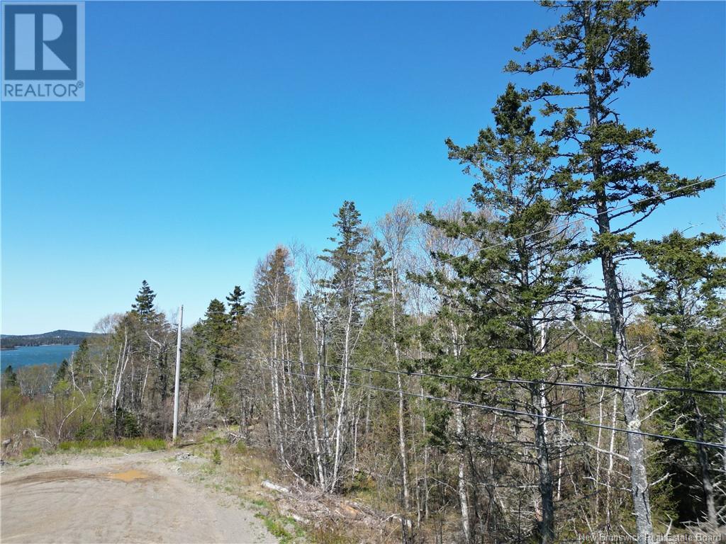 86-39 & 86-40 Mitchell Court, Welshpool, New Brunswick  E5E 1H6 - Photo 10 - NB118277