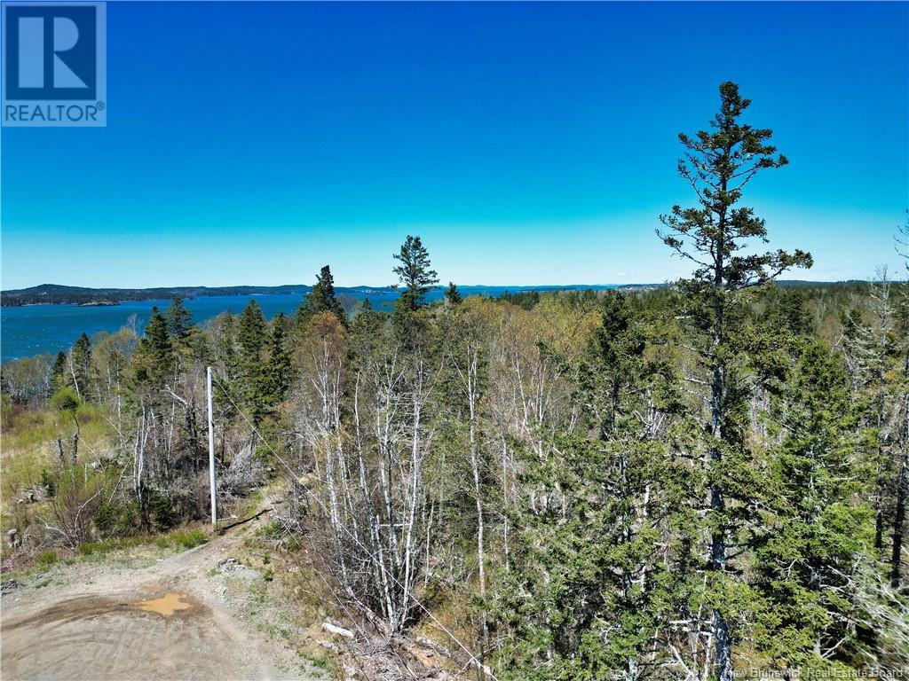 86-39 & 86-40 Mitchell Court, Welshpool, New Brunswick  E5E 1H6 - Photo 3 - NB118277