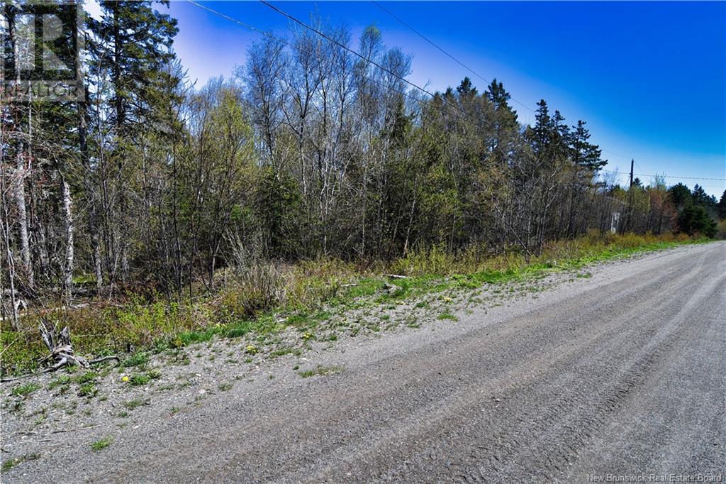 86-39 & 86-40 Mitchell Court, Welshpool, New Brunswick  E5E 1H6 - Photo 11 - NB118277