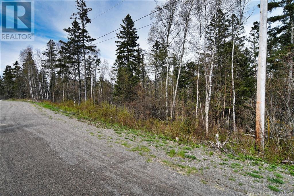 86-39 & 86-40 Mitchell Court, Welshpool, New Brunswick  E5E 1H6 - Photo 27 - NB118277