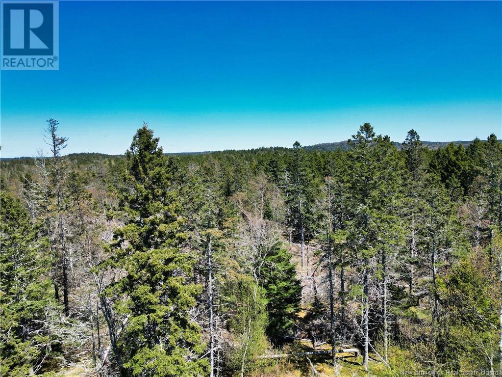 86-39 & 86-40 Mitchell Court, Welshpool, New Brunswick  E5E 1H6 - Photo 8 - NB118277