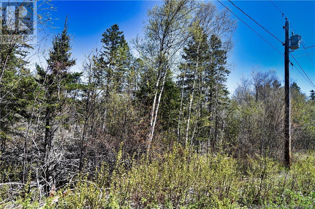 86-39 & 86-40 Mitchell Court, Welshpool, New Brunswick  E5E 1H6 - Photo 14 - NB118277