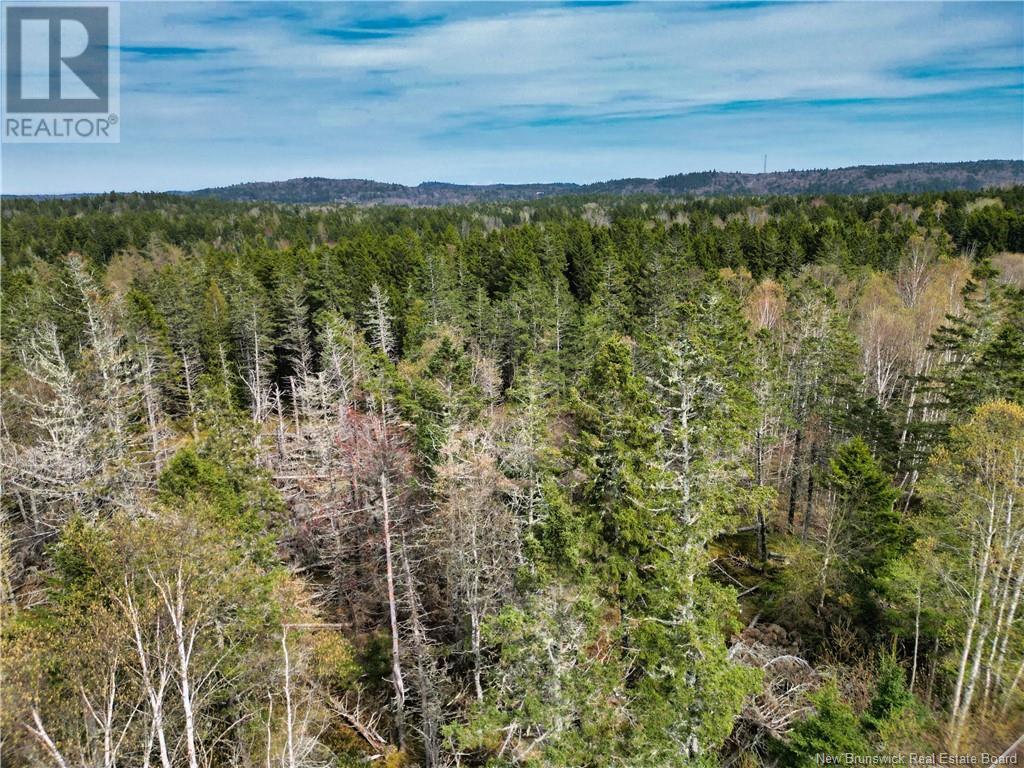 86-39 & 86-40 Mitchell Court, Welshpool, New Brunswick  E5E 1H6 - Photo 16 - NB118277