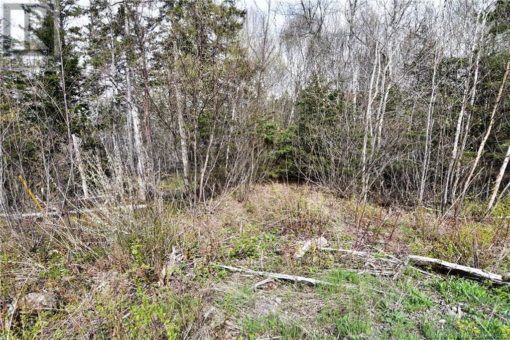 86-39 & 86-40 Mitchell Court, Welshpool, New Brunswick  E5E 1H6 - Photo 19 - NB118277