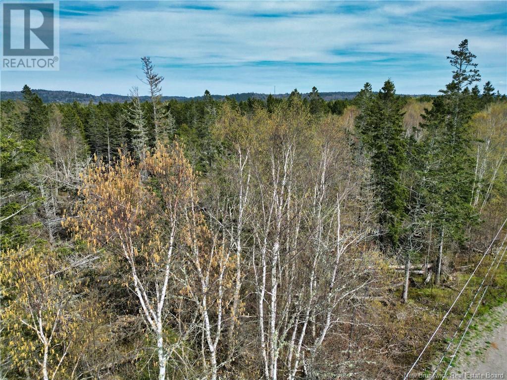 86-39 & 86-40 Mitchell Court, Welshpool, New Brunswick  E5E 1H6 - Photo 18 - NB118277