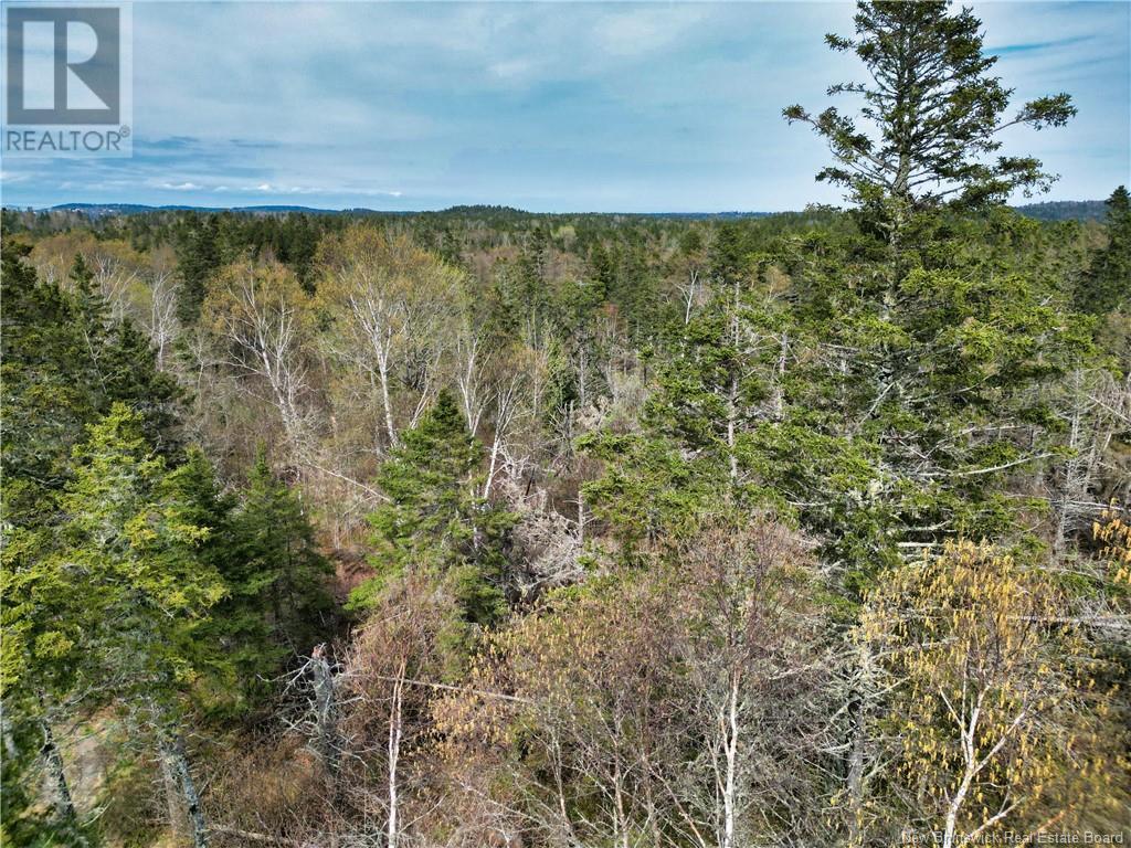 86-39 & 86-40 Mitchell Court, Welshpool, New Brunswick  E5E 1H6 - Photo 17 - NB118277