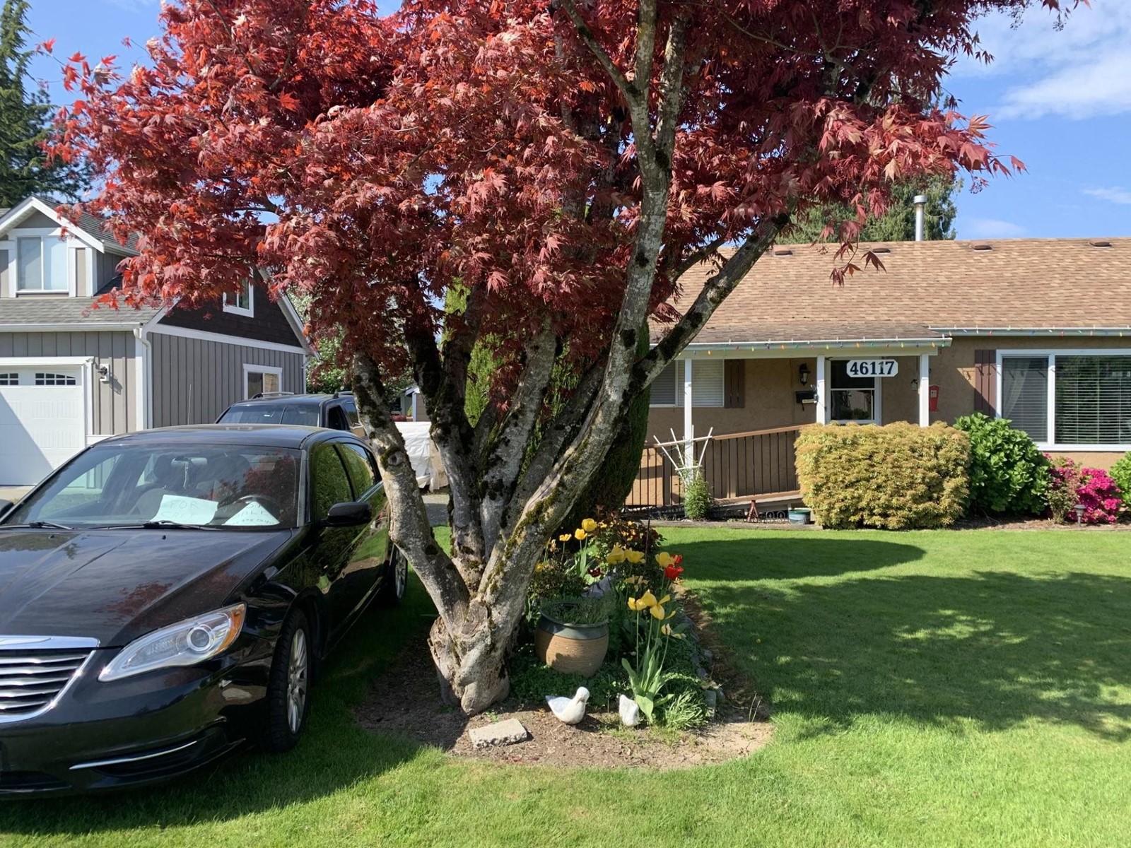 Property at 46117 LEWIS AVENUE image 3