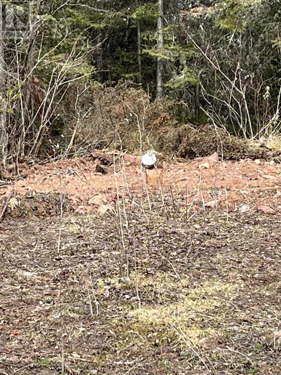 Phase2 Lot 17 Grann Dr, Shuniah, Ontario  P0T 2M0 - Photo 4 - TB251116