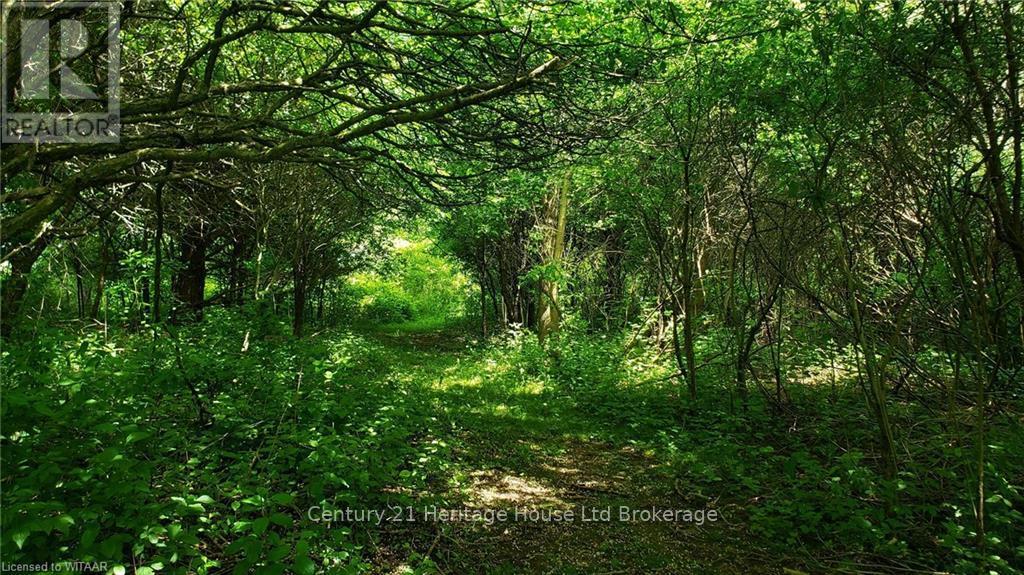 334319 Rossland Line, South-West Oxford, Ontario  N5C 3J8 - Photo 36 - X12141897