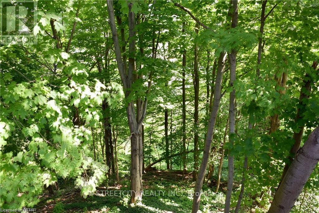 417 Tower Heights Drive, Central Elgin, Ontario  N5L 1G3 - Photo 20 - X12141848