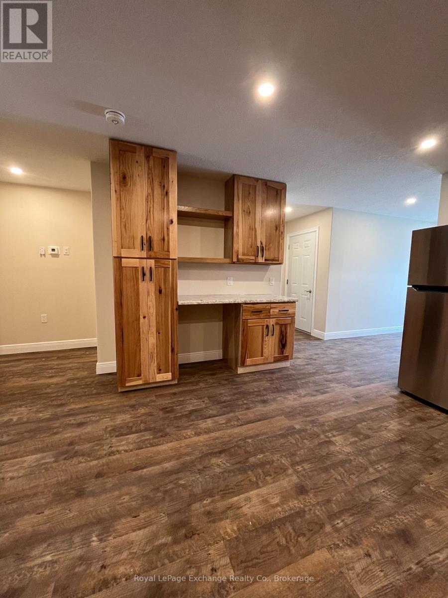 91135 Belmore Line, Morris Turnberry, Ontario  N0G 2X0 - Photo 9 - X12141802