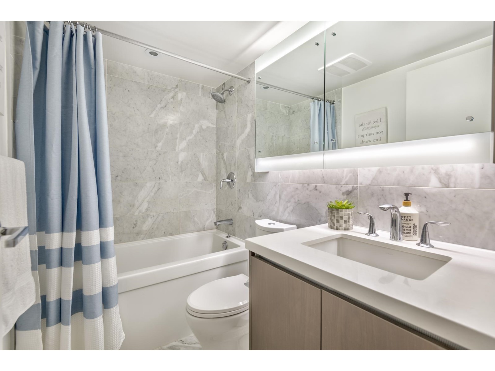 2910 13696 100 Avenue, Surrey, British Columbia  V3T 0L5 - Photo 12 - R3001276