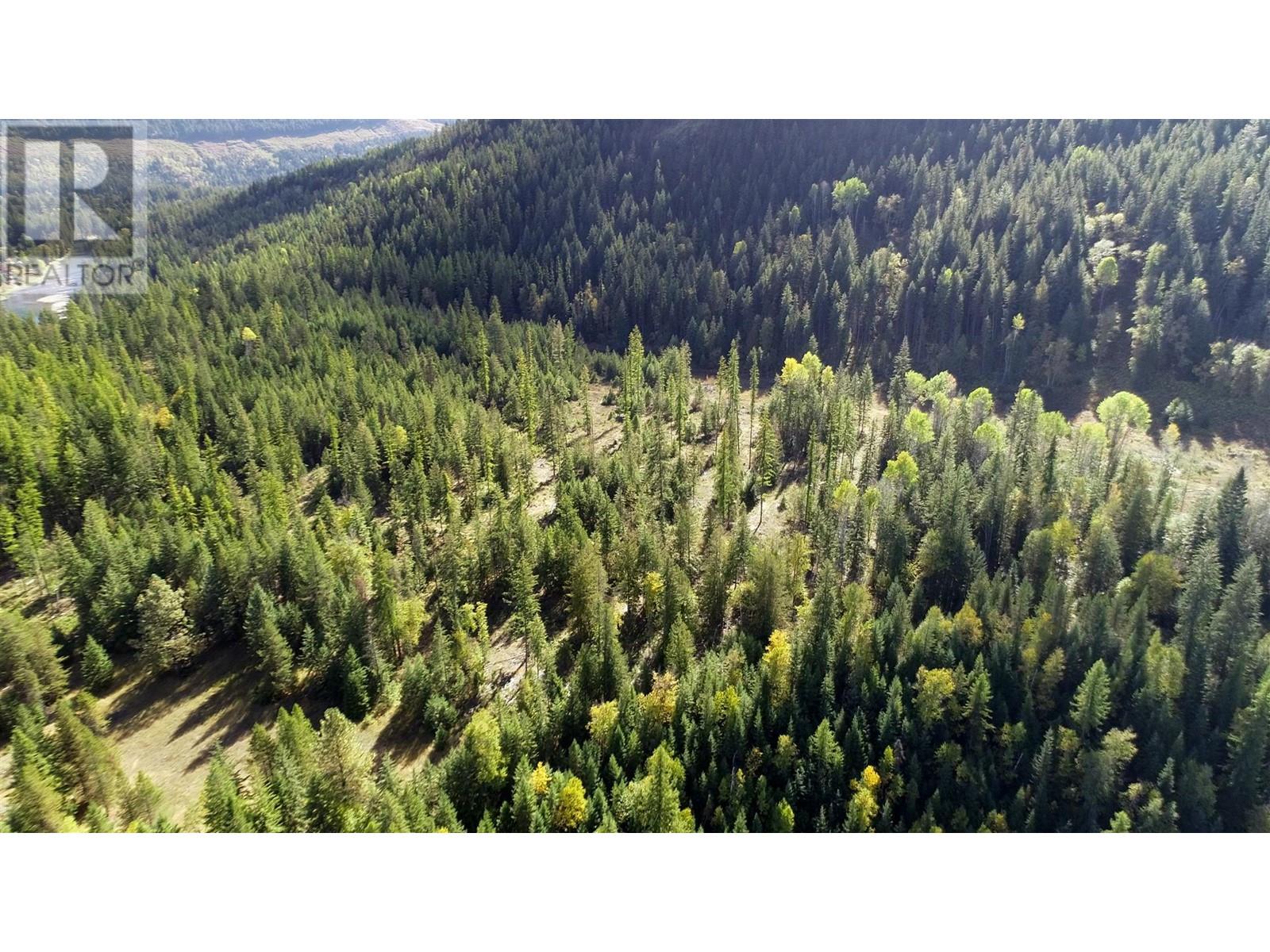 3751 Westwind Road, Krestova, British Columbia  V0G 1H2 - Photo 11 - 10346710