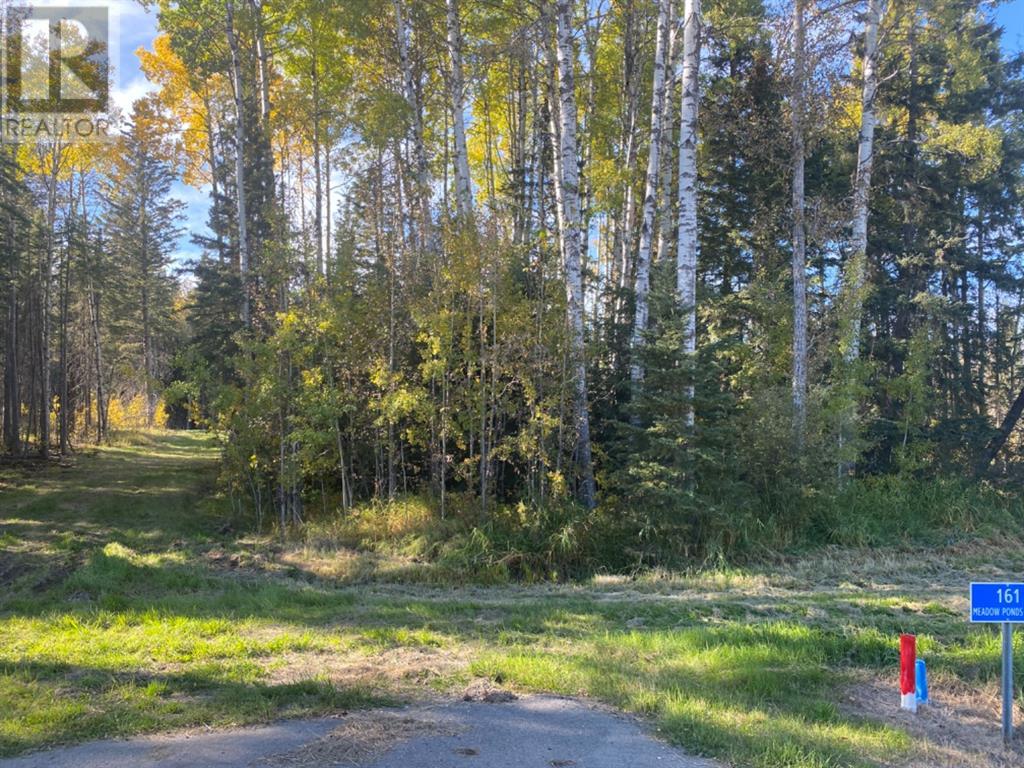 161 Meadow Ponds Drive, Rural Clearwater County, Alberta  T4T 1A7 - Photo 2 - A1259234