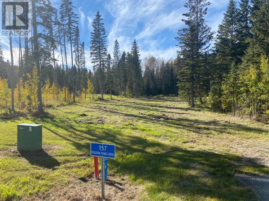 157 Meadow Ponds Drive, Rural Clearwater County, Alberta  T4T 1A7 - Photo 1 - A1259230