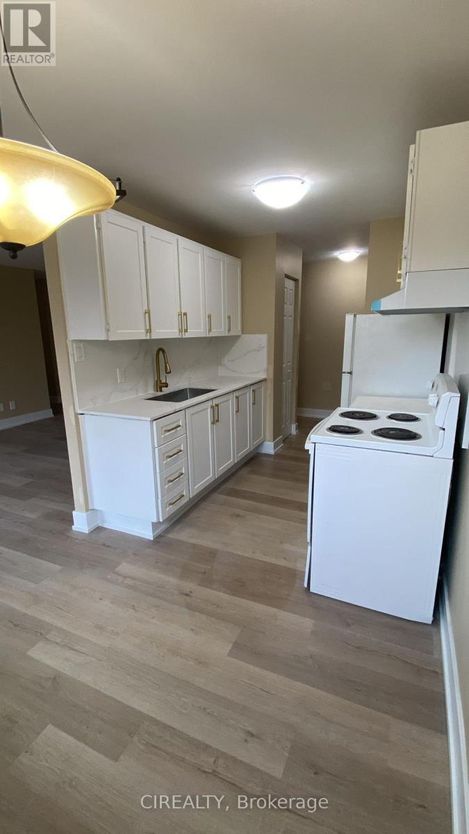 242 Avalon Place, Kitchener, Ontario  N2M 4N9 - Photo 4 - X12142074