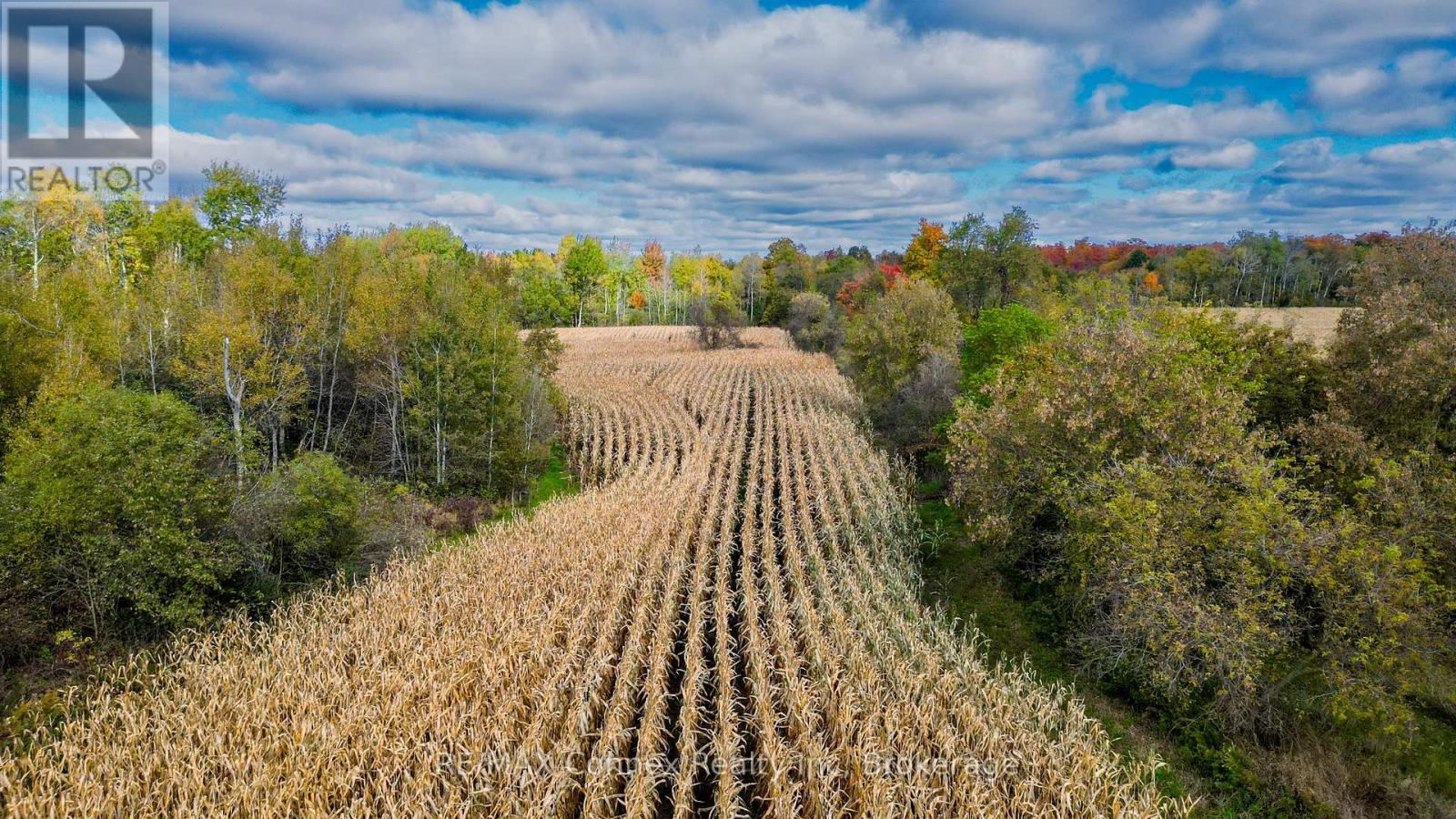 4963 Sixth Line, Guelph/eramosa, Ontario  N0B 2K0 - Photo 32 - X12142232