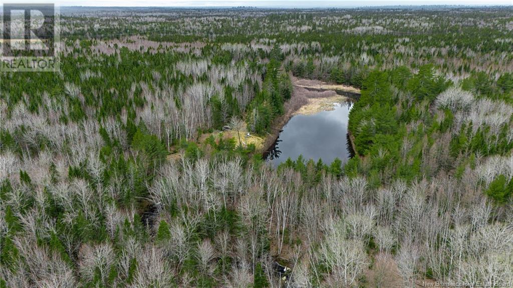 Land Post Road, Rusagonis, New Brunswick  E3B 0O0 - Photo 22 - NB118316