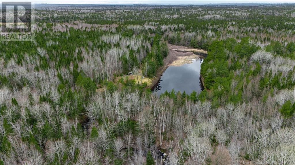 Land Post Road, Rusagonis, New Brunswick  E3B 0O0 - Photo 23 - NB118316