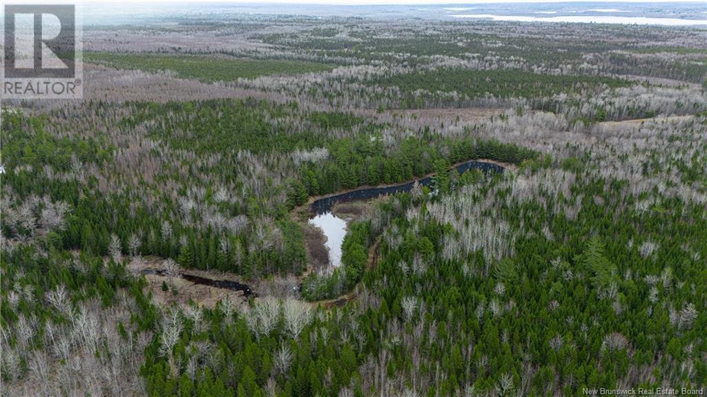 Land Post Road, Rusagonis, New Brunswick  E3B 0O0 - Photo 43 - NB118316
