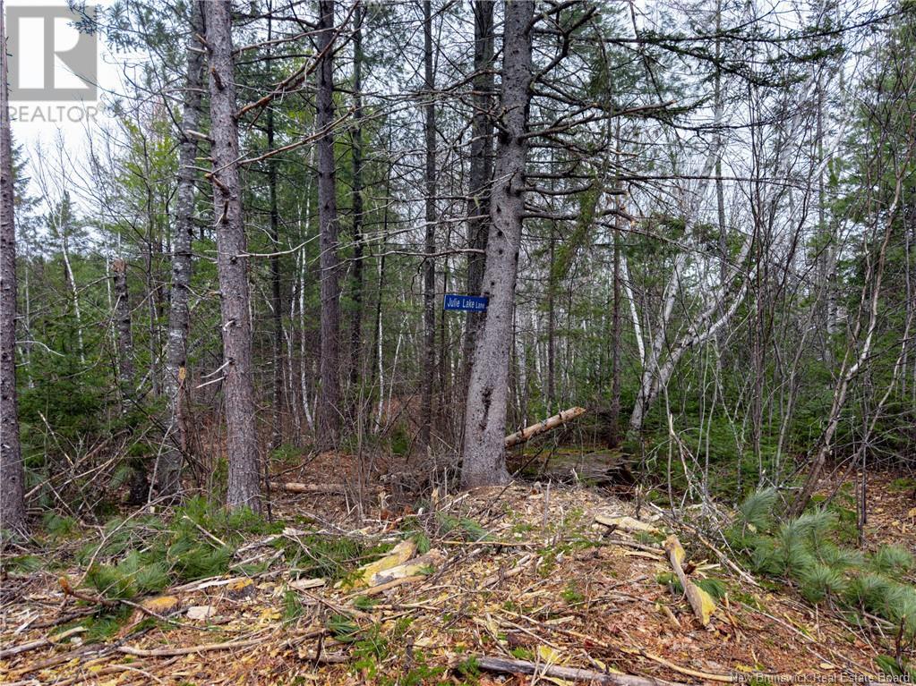 Land Post Road, Rusagonis, New Brunswick  E3B 0O0 - Photo 50 - NB118316