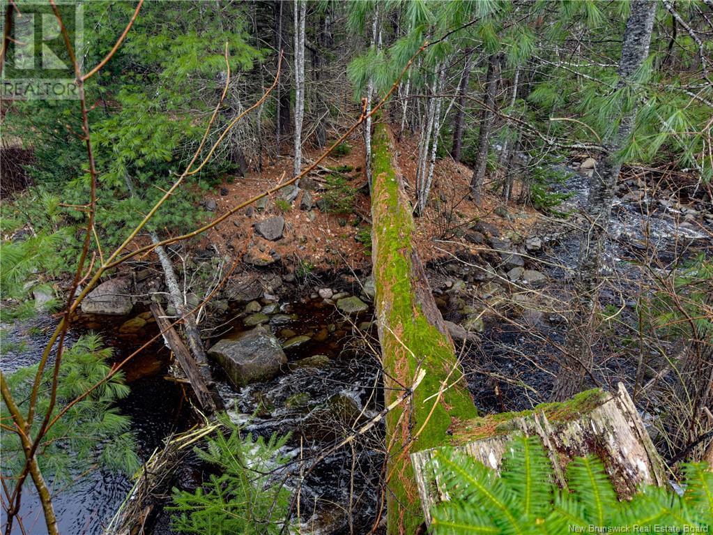 Land Post Road, Rusagonis, New Brunswick  E3B 0O0 - Photo 49 - NB118316