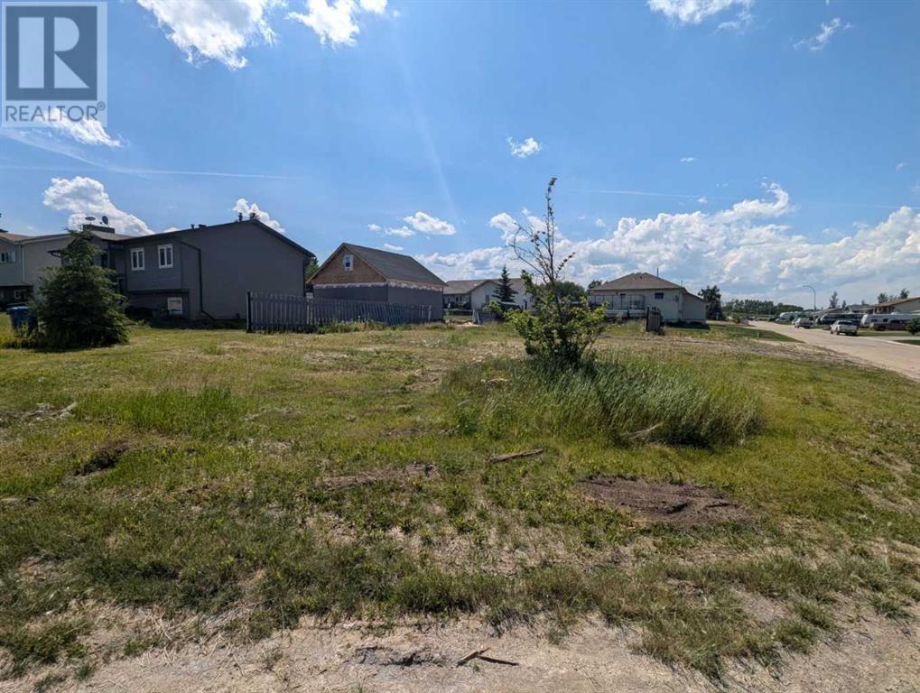126 Sunset Drive, Spirit River, Alberta  T0H 3G0 - Photo 6 - A2145650