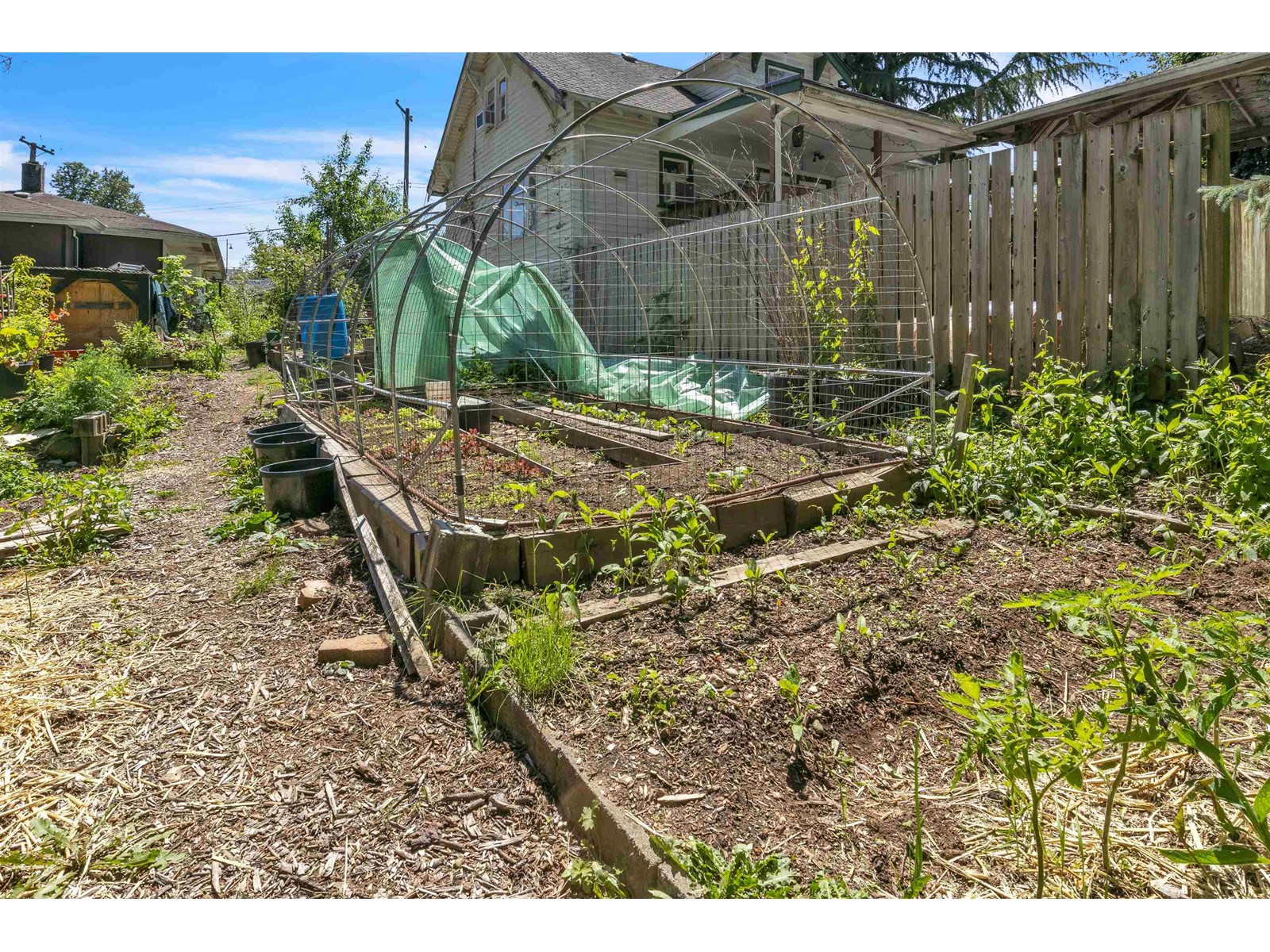 33721 Morey Avenue, Abbotsford, British Columbia  V2S 2W5 - Photo 33 - R2952342