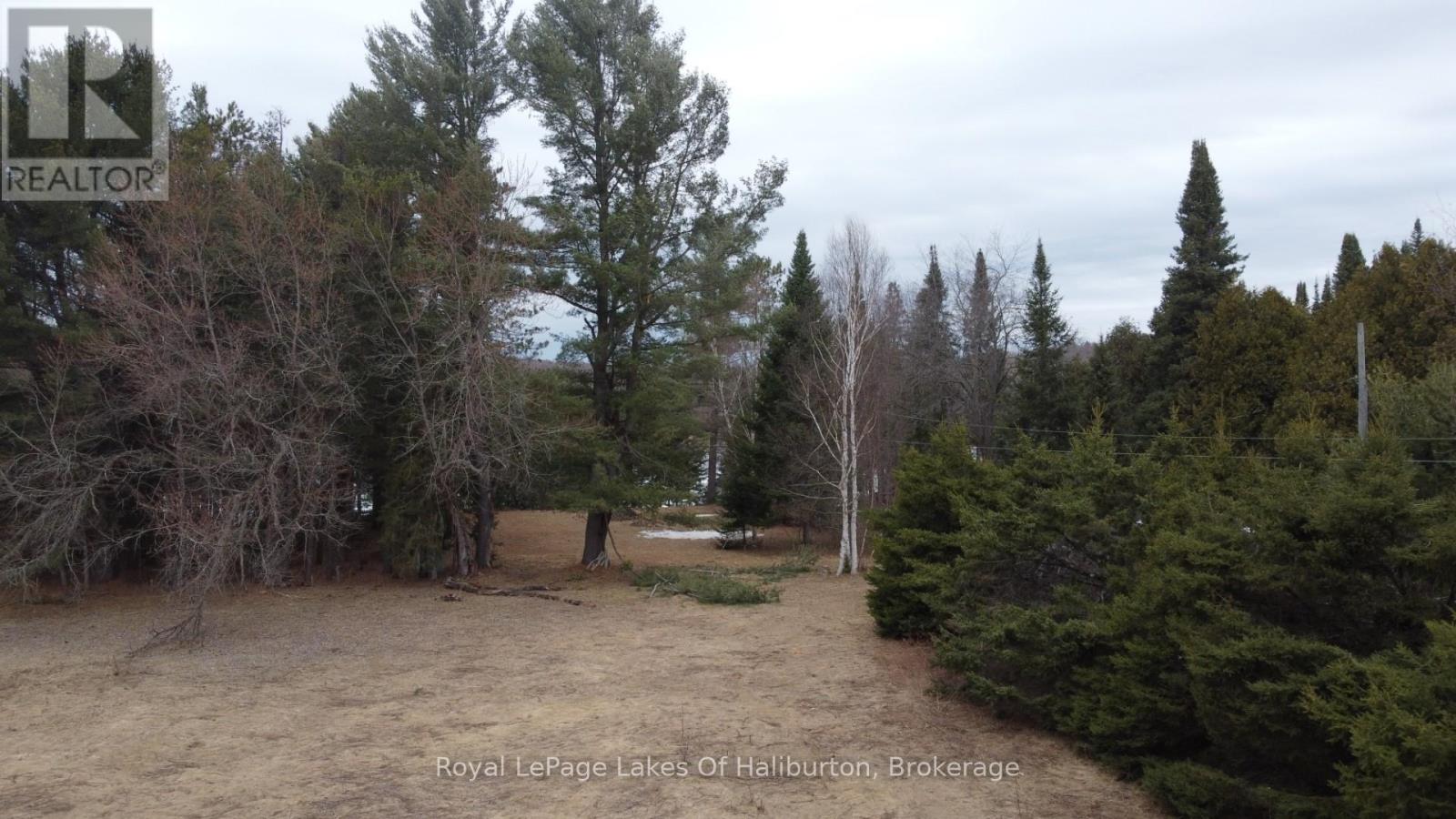 0 Kashagawigamog Lake Road, Dysart Et Al, Ontario  K0M 1S0 - Photo 25 - X12085655