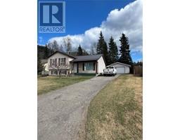 236 MURRAY Drive, tumbler ridge, British Columbia