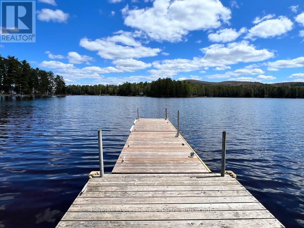 4501 Elephant Lake Road, Dysart Et Al, Ontario  K0L 1M1 - Photo 35 - X12142241