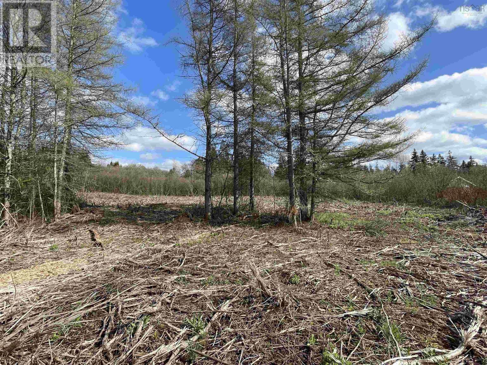 Lot 10-1 13 Riverbend Drive, Brookdale, Nova Scotia  B4H 3Y1 - Photo 2 - 202510699