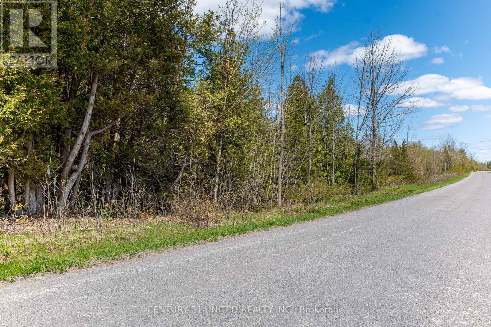 1030 Birchview Road, Douro-Dummer, Ontario K0L 2H0 - Photo 11 - X12142473