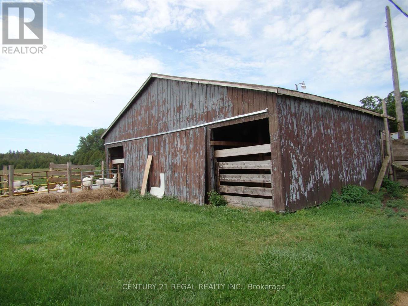 2910 Highway 7a, Scugog, Ontario  L0B 1B0 - Photo 8 - E12142363