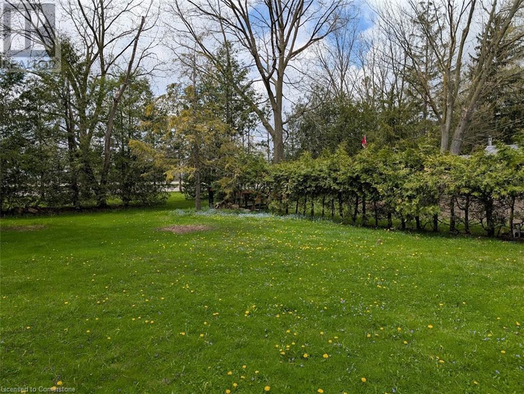 Photo 20 of 23 for 323 Marlborough Street