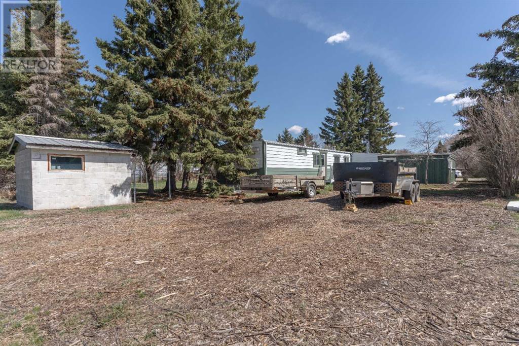 315 & 317 Macrae Street, Bawlf, Alberta  T0B 0J0 - Photo 24 - A2215882