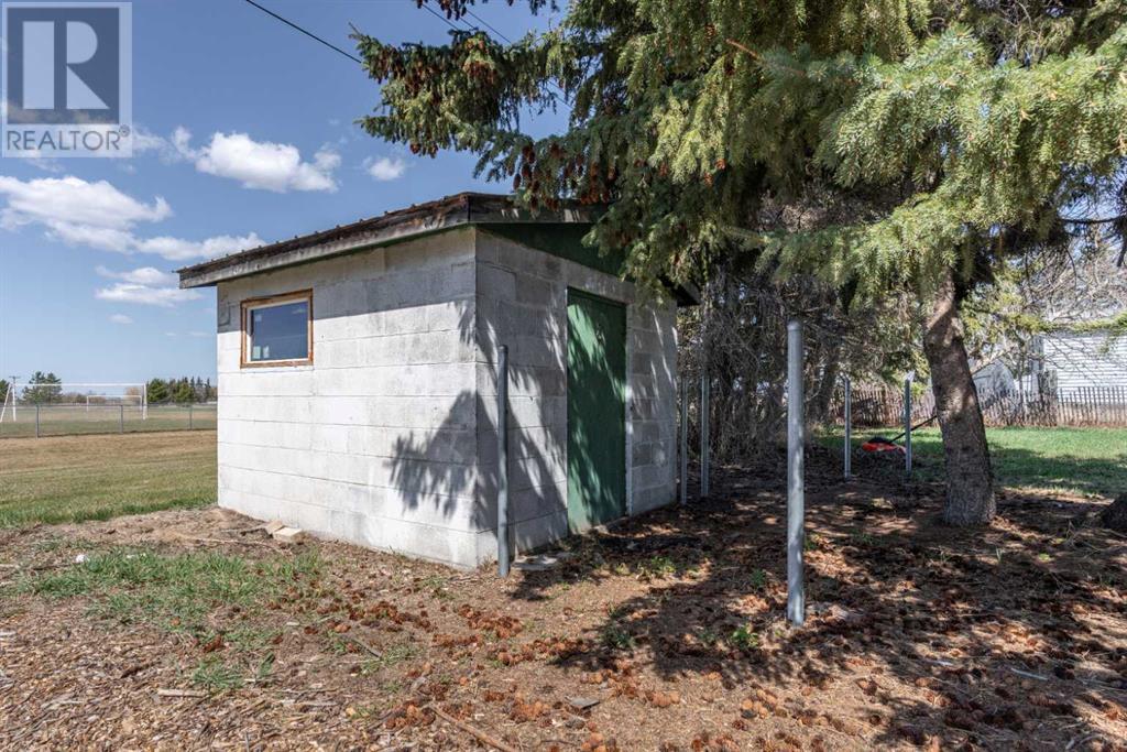 315 & 317 Macrae Street, Bawlf, Alberta  T0B 0J0 - Photo 25 - A2215882