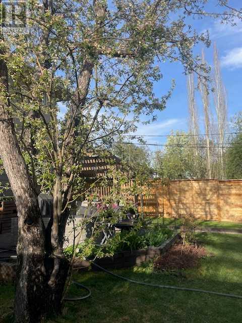 Property at 435 49 Avenue SW image 3