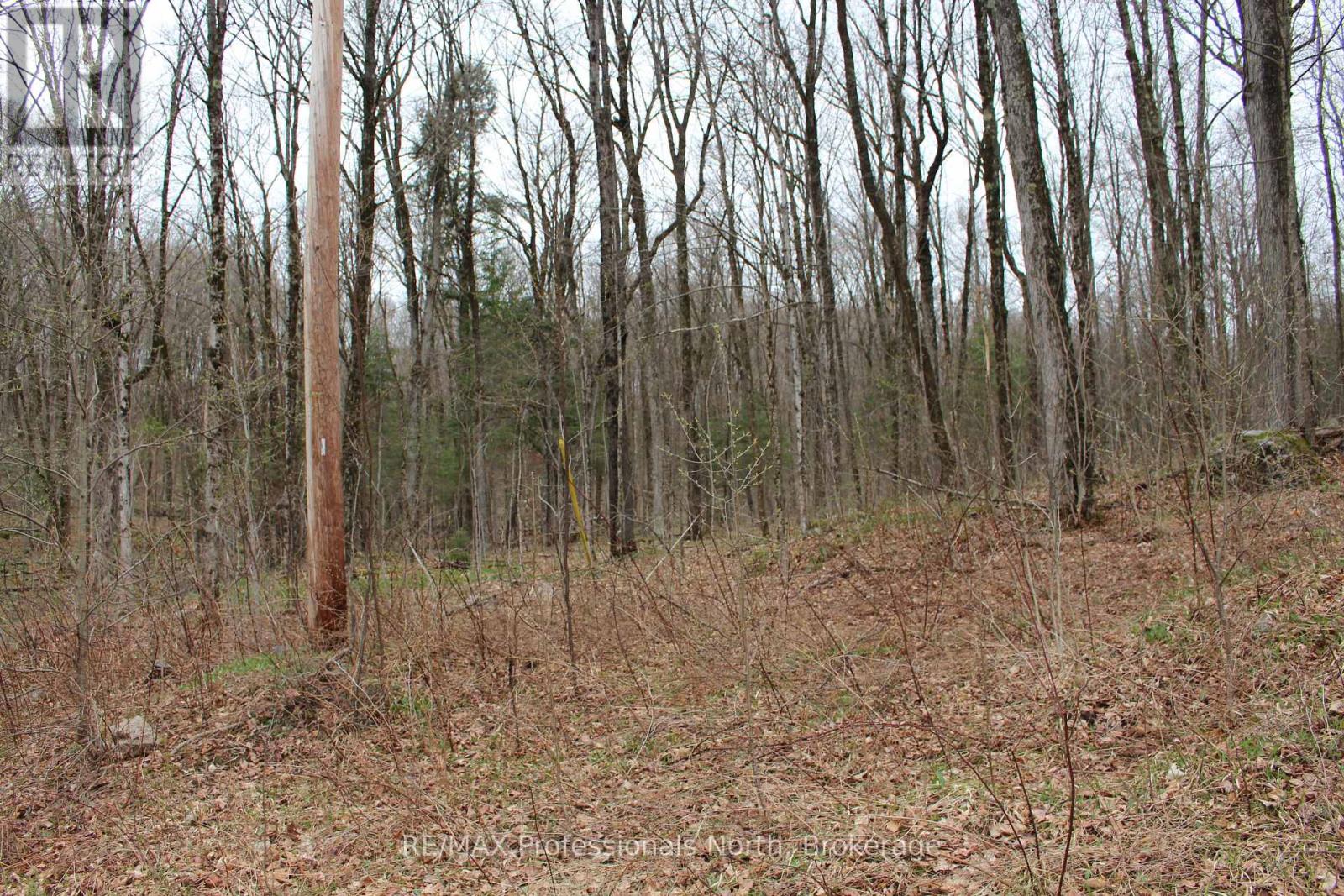 1074 Lowbank Drive S, Highlands East, Ontario  K0L 2Y0 - Photo 13 - X12142551