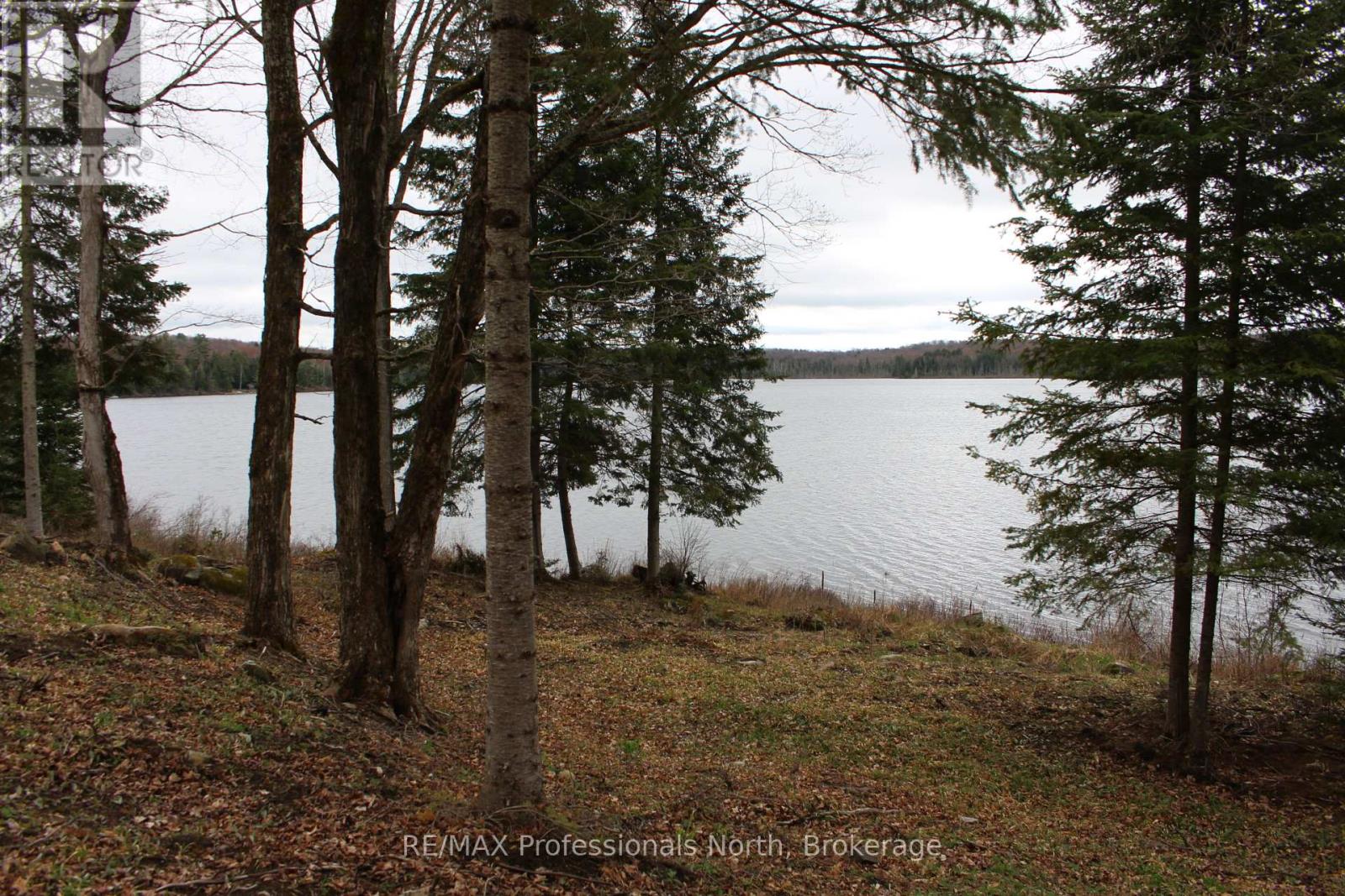 1074 Lowbank Drive S, Highlands East, Ontario  K0L 2Y0 - Photo 5 - X12142551
