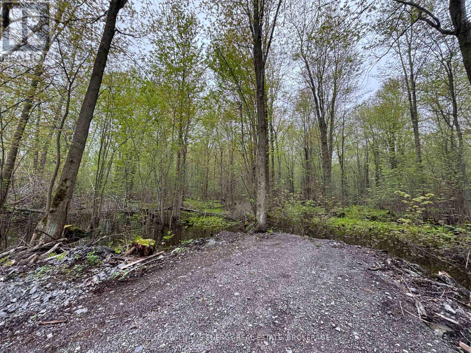 Pt Lt 53-54 Con 2, Prince Edward County, Ontario  K0K 2T0 - Photo 2 - X12142587