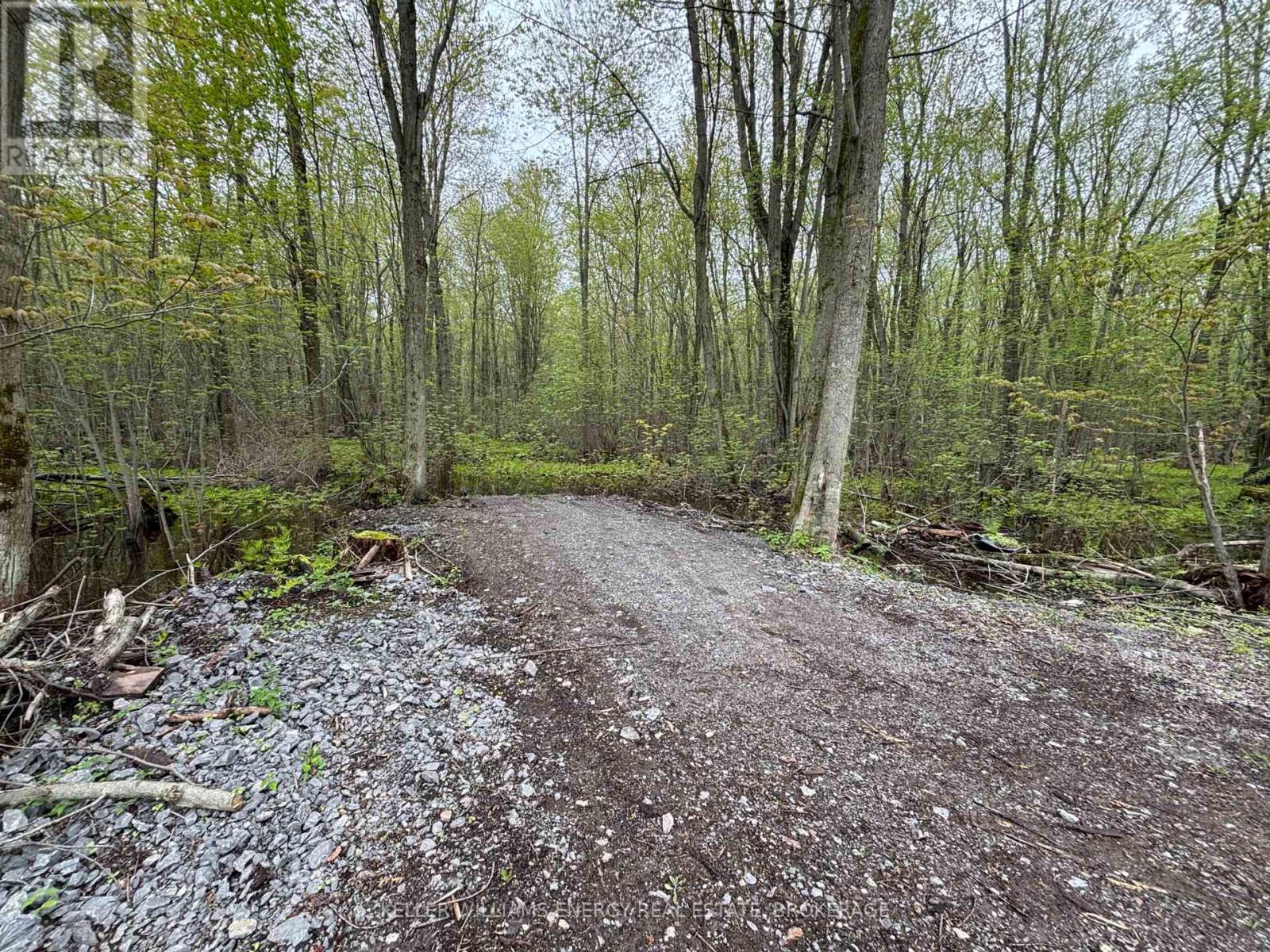 Pt Lt 53-54 Con 2, Prince Edward County, Ontario  K0K 2T0 - Photo 3 - X12142587