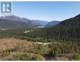7928 Lemon Creek Road, slocan, British Columbia