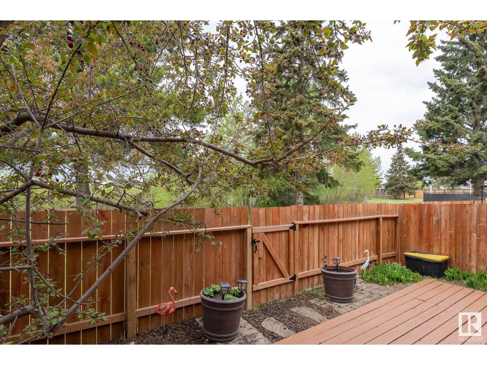 2985 130 Av Nw, Edmonton, Alberta  T5A 3M1 - Photo 25 - E4435516