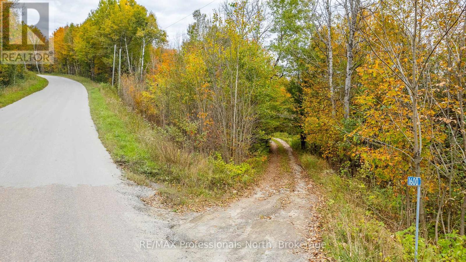 1600 Bobcaygeon Road, Minden Hills, Ontario  K0M 2K0 - Photo 10 - X12142713
