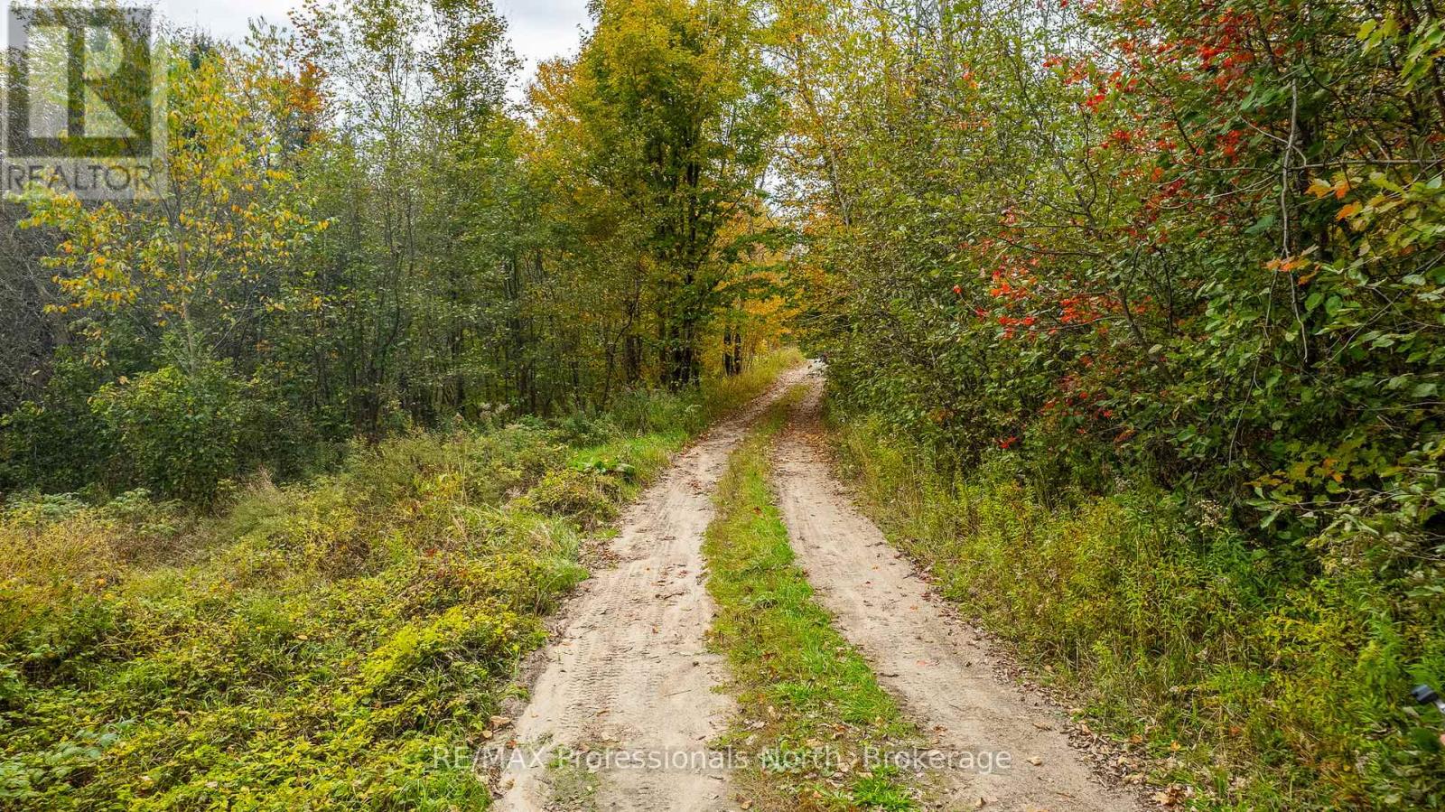 1600 Bobcaygeon Road, Minden Hills, Ontario  K0M 2K0 - Photo 12 - X12142713