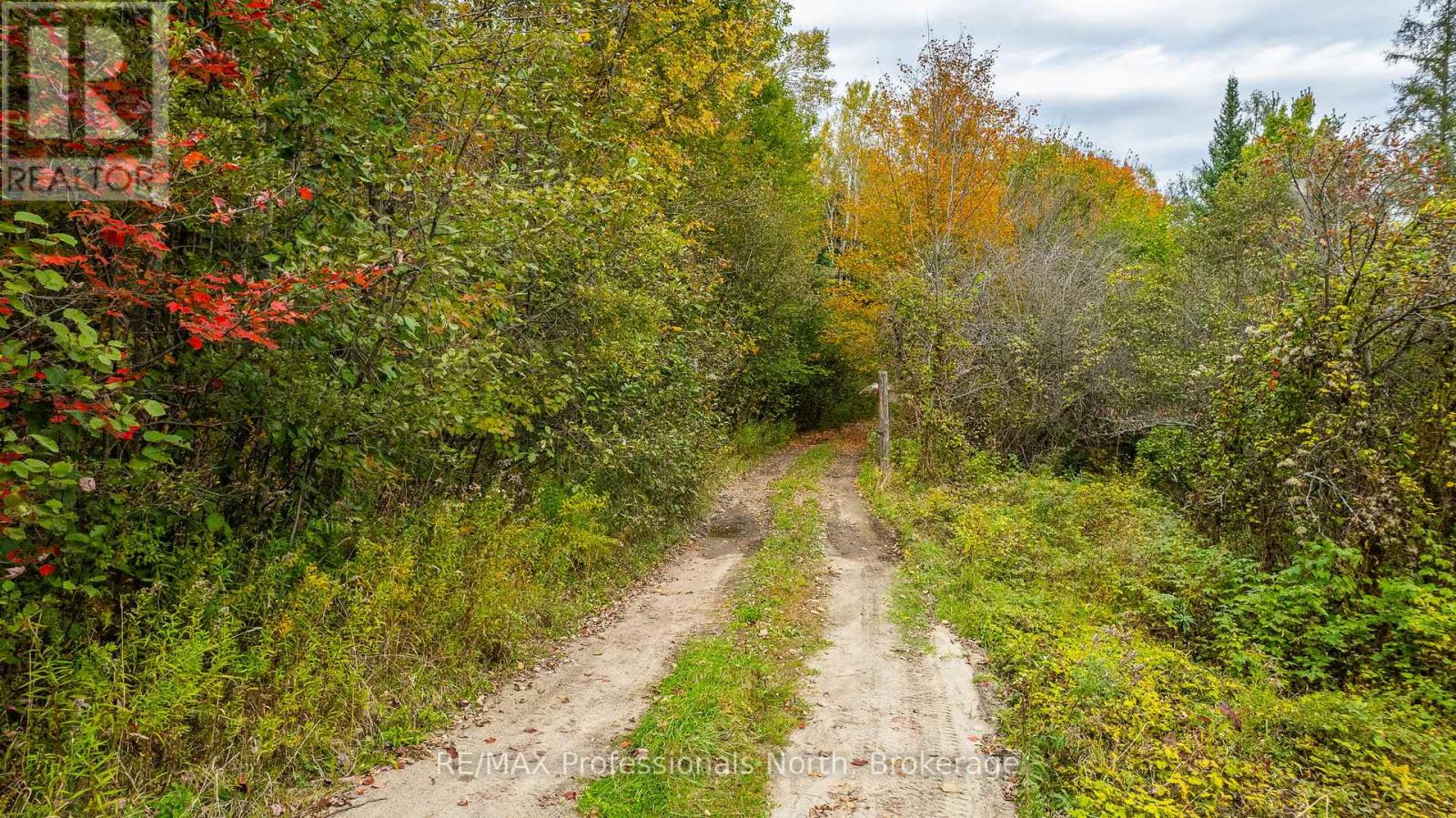 1600 Bobcaygeon Road, Minden Hills, Ontario  K0M 2K0 - Photo 13 - X12142713