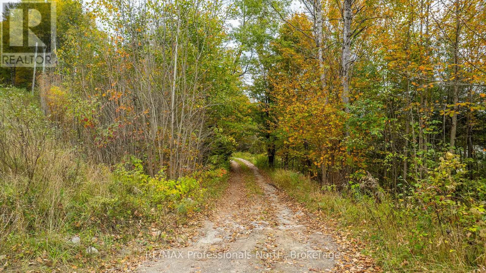 1600 Bobcaygeon Road, Minden Hills, Ontario  K0M 2K0 - Photo 15 - X12142713