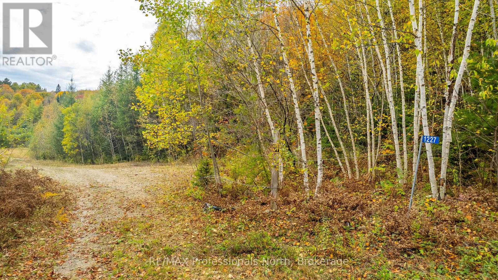 1600 Bobcaygeon Road, Minden Hills, Ontario  K0M 2K0 - Photo 16 - X12142713