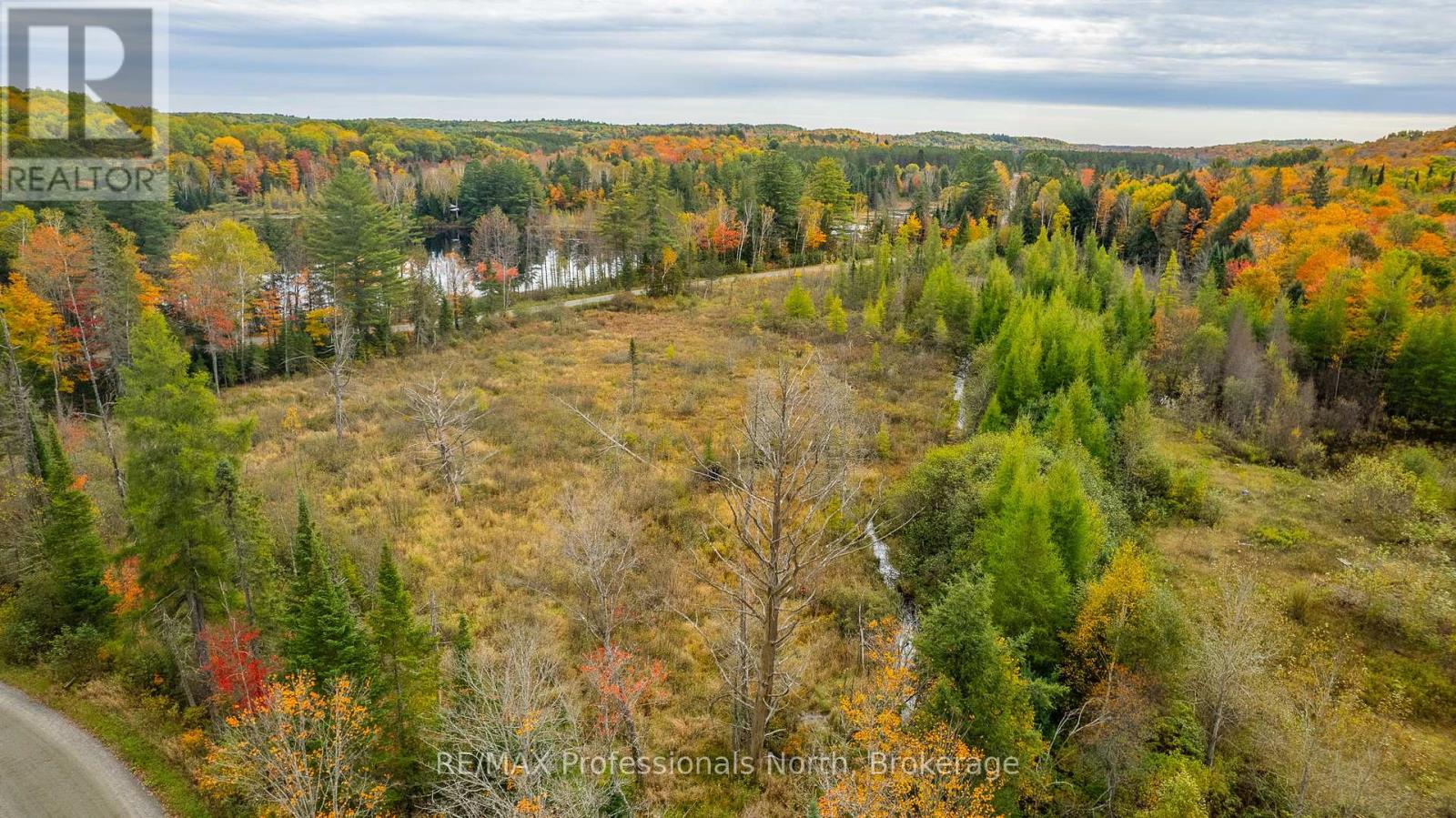 1600 Bobcaygeon Road, Minden Hills, Ontario  K0M 2K0 - Photo 17 - X12142713